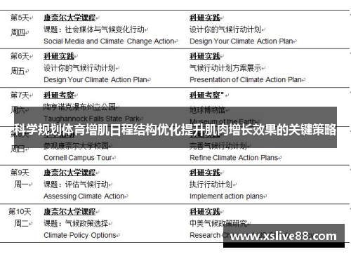 科学规划体育增肌日程结构优化提升肌肉增长效果的关键策略